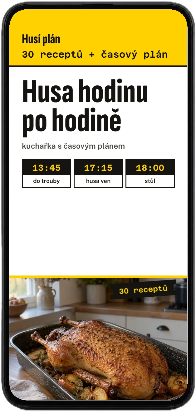 Obálka kuchařky Husí plán v mobilu